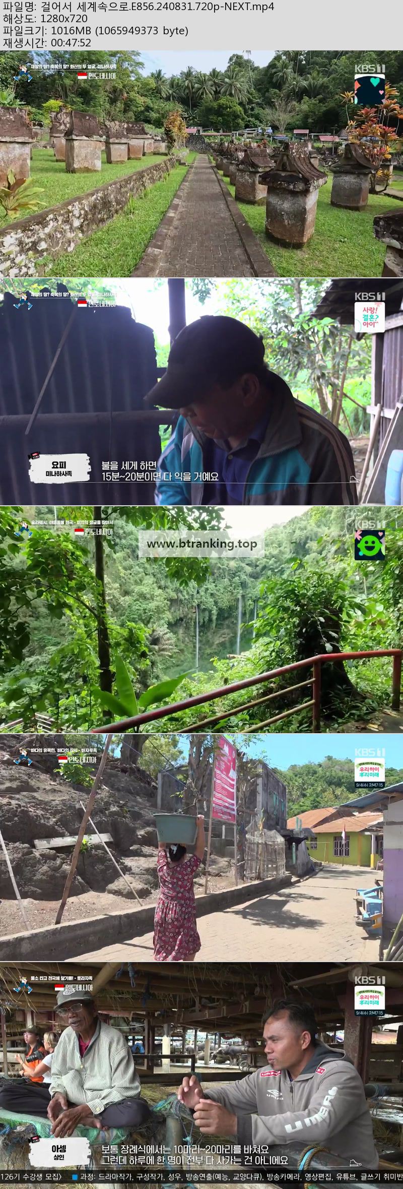 174891914928.jpg
