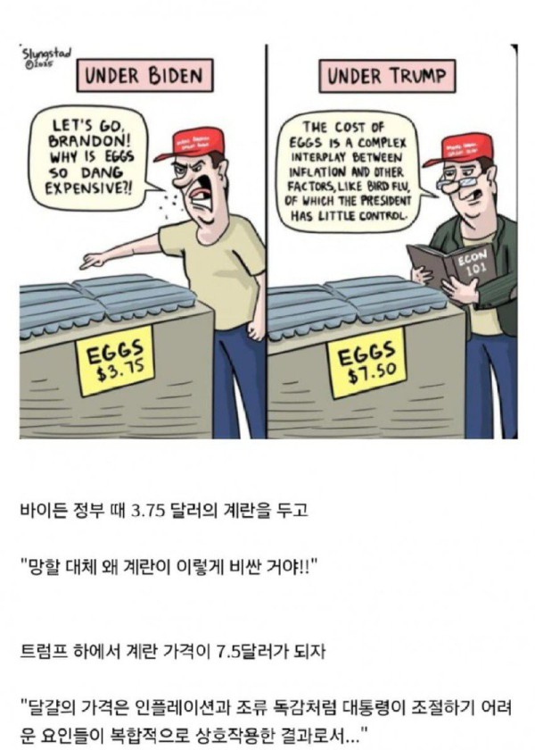 17473545651226.jpg